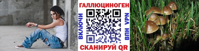 хочу   Ессентуки  маркетплейс состав  Галлюциногенные грибы GOLDEN TEACHER 